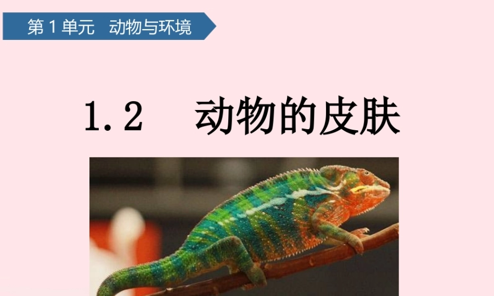 三年级科学上册 第一单元 动物与环境 第2课动物的皮肤课件 青岛版六三制-青岛版小学三年级上册自然科学课件