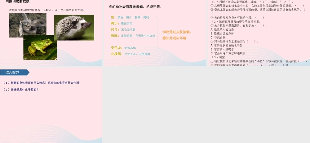 三年级科学上册 第一单元 动物与环境 第2课动物的皮肤课件 青岛版六三制-青岛版小学三年级上册自然科学课件