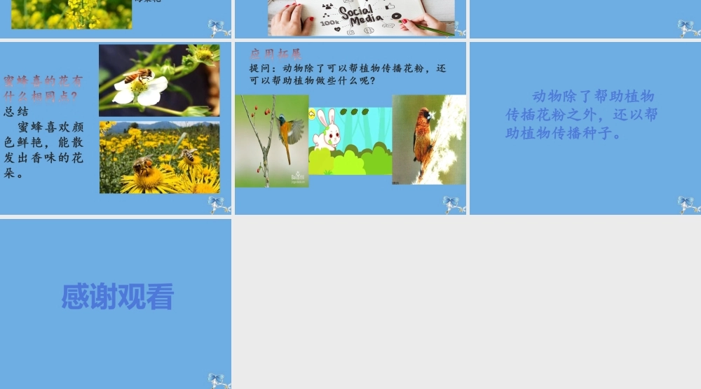 三年级科学下册 第3单元 生物的相互影响 第10课 蜜蜂传粉课件2 冀人版-人教版小学三年级下册自然科学课件