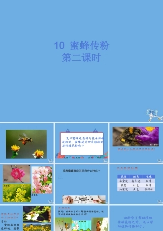 三年级科学下册 第3单元 生物的相互影响 第10课 蜜蜂传粉课件2 冀人版-人教版小学三年级下册自然科学课件