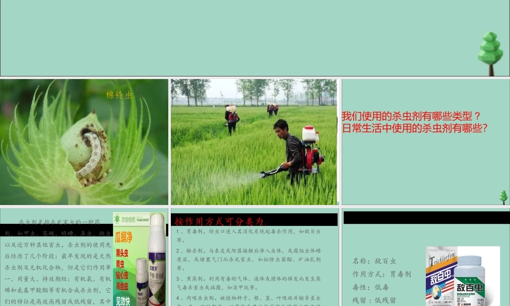 三年级科学下册 第3单元 生物的相互影响 第12课 杀虫剂对生物的影响课件 冀人版-人教版小学三年级下册自然科学课件