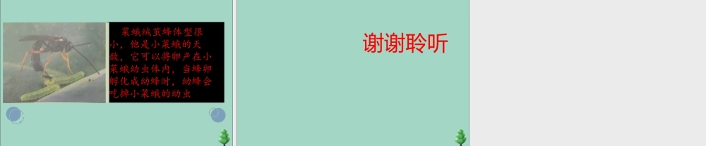 三年级科学下册 第3单元 生物的相互影响 第12课 杀虫剂对生物的影响课件 冀人版-人教版小学三年级下册自然科学课件