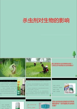 三年级科学下册 第3单元 生物的相互影响 第12课 杀虫剂对生物的影响课件 冀人版-人教版小学三年级下册自然科学课件