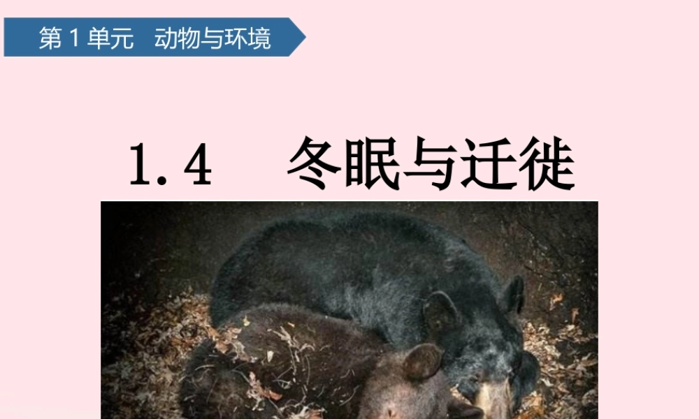 三年级科学上册 第一单元 动物与环境 第4课冬眠与迁徙课件 青岛版六三制-青岛版小学三年级上册自然科学课件