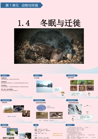 三年级科学上册 第一单元 动物与环境 第4课冬眠与迁徙课件 青岛版六三制-青岛版小学三年级上册自然科学课件