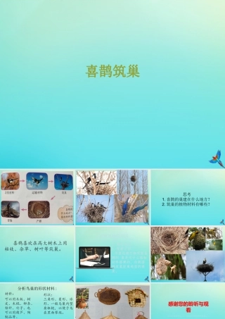 三年级科学下册 第3单元 生物的相互影响 第十一课 喜鹊筑巢课件 冀人版-人教版小学三年级下册自然科学课件