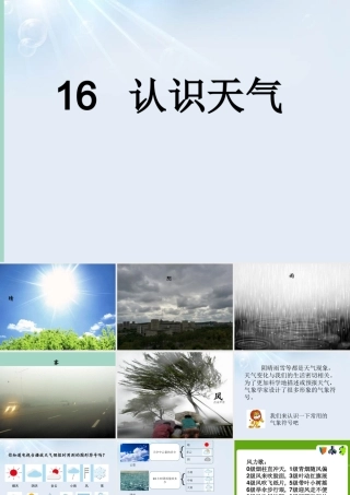 三年级科学下册 第4单元 天气变化 16 认识天气课件 冀人版-人教版小学三年级下册自然科学课件