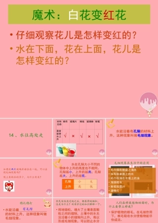 三年级科学上册 4.5 水往高处走课件3 青岛版五四制-青岛版小学三年级上册自然科学课件