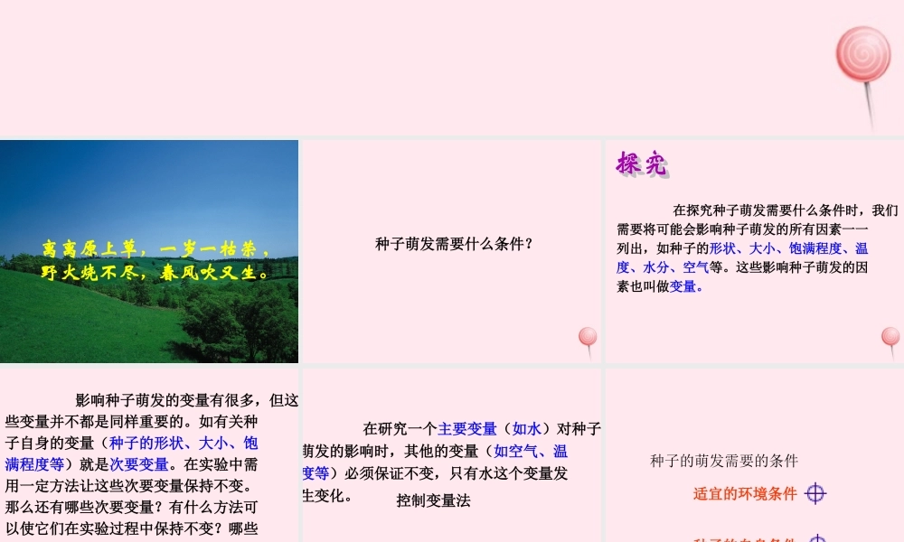 三年级科学下册 第一单元 第1课《播种发芽》课件1 鄂教版-鄂教版小学三年级下册自然科学课件