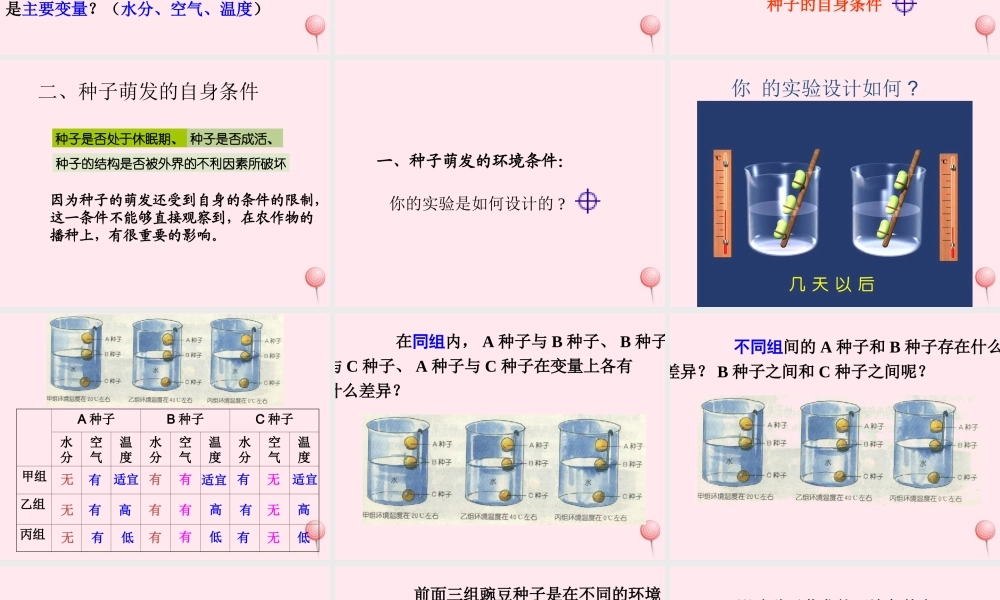 三年级科学下册 第一单元 第1课《播种发芽》课件1 鄂教版-鄂教版小学三年级下册自然科学课件