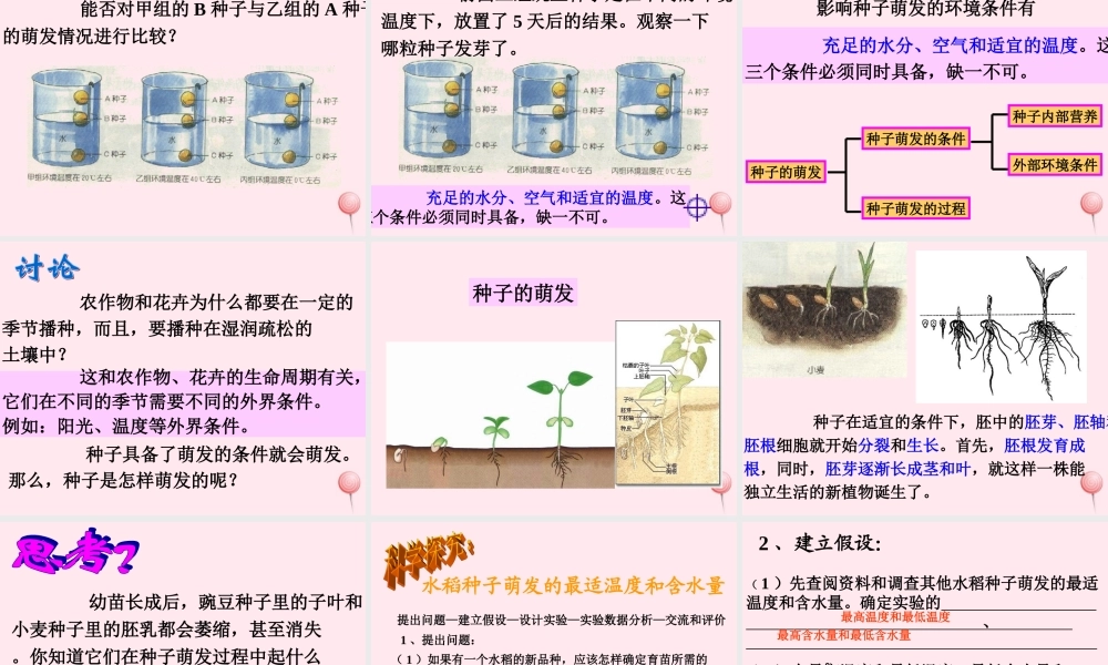 三年级科学下册 第一单元 第1课《播种发芽》课件1 鄂教版-鄂教版小学三年级下册自然科学课件