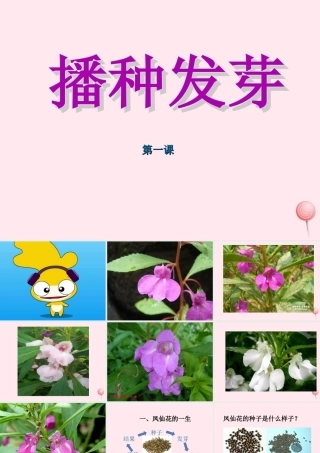 三年级科学下册 第一单元 第1课《播种发芽》课件2 鄂教版-鄂教版小学三年级下册自然科学课件