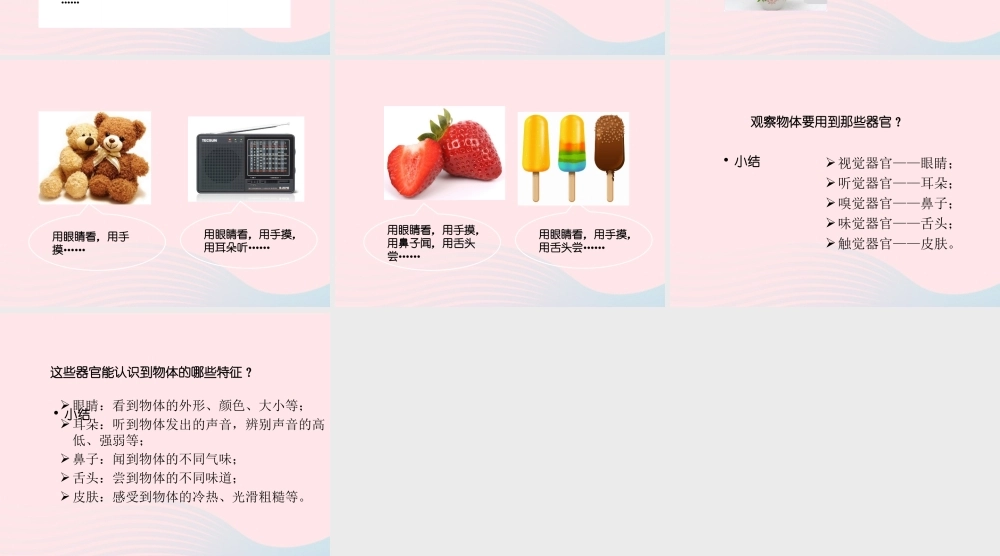 三年级科学上册 第一单元 生活中的食物 第2课《食物的色香味》课件（3） 鄂教版-鄂教版小学三年级上册自然科学课件