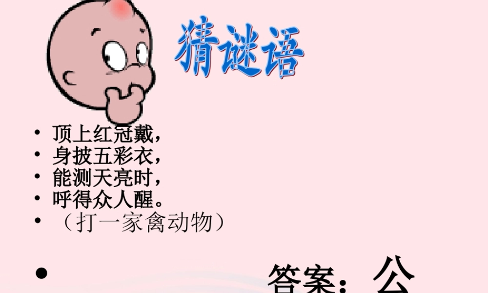三年级科学上册 第四单元 家养小动物 第19课《鸡》课件（2） 鄂教版-鄂教版小学三年级上册自然科学课件
