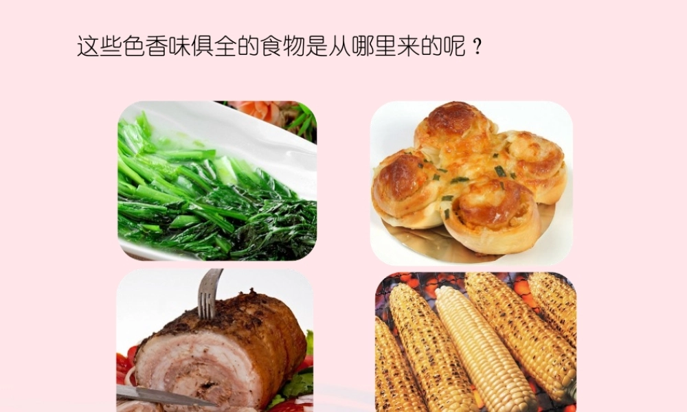 三年级科学上册 第一单元 生活中的食物 第3课《食物从哪里来》课件（1） 鄂教版-鄂教版小学三年级上册自然科学课件