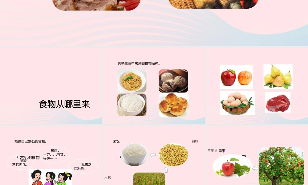 三年级科学上册 第一单元 生活中的食物 第3课《食物从哪里来》课件（1） 鄂教版-鄂教版小学三年级上册自然科学课件