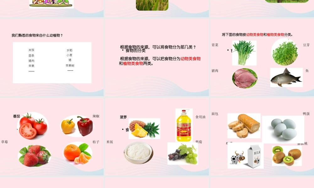 三年级科学上册 第一单元 生活中的食物 第3课《食物从哪里来》课件（1） 鄂教版-鄂教版小学三年级上册自然科学课件