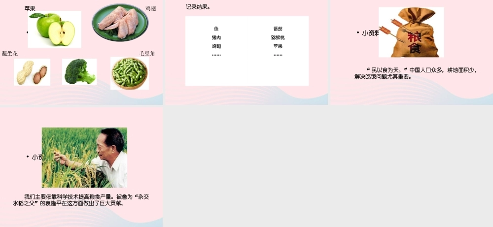 三年级科学上册 第一单元 生活中的食物 第3课《食物从哪里来》课件（1） 鄂教版-鄂教版小学三年级上册自然科学课件