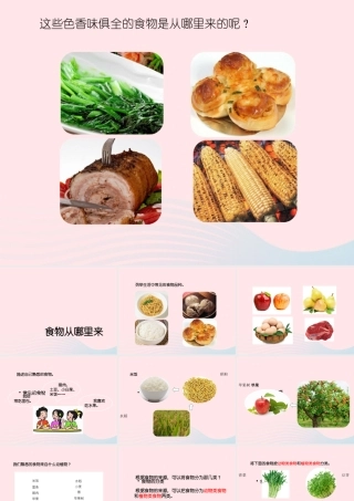 三年级科学上册 第一单元 生活中的食物 第3课《食物从哪里来》课件（1） 鄂教版-鄂教版小学三年级上册自然科学课件