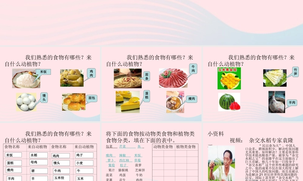 三年级科学上册 第一单元 生活中的食物 第3课《食物从哪里来》课件（2） 鄂教版-鄂教版小学三年级上册自然科学课件