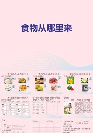 三年级科学上册 第一单元 生活中的食物 第3课《食物从哪里来》课件（2） 鄂教版-鄂教版小学三年级上册自然科学课件
