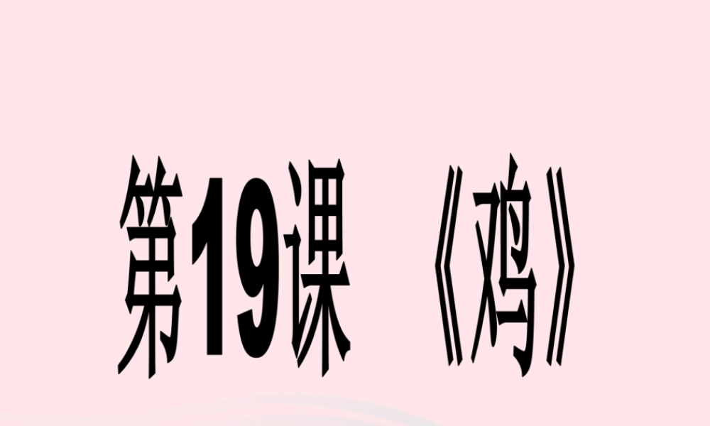 三年级科学上册 第四单元 家养小动物 第19课《鸡》课件（3） 鄂教版-鄂教版小学三年级上册自然科学课件
