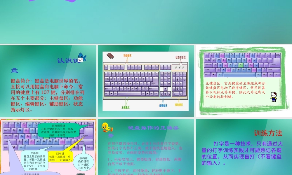 三年级信息技术上册 第8课 认识电脑键盘课件 闽教版