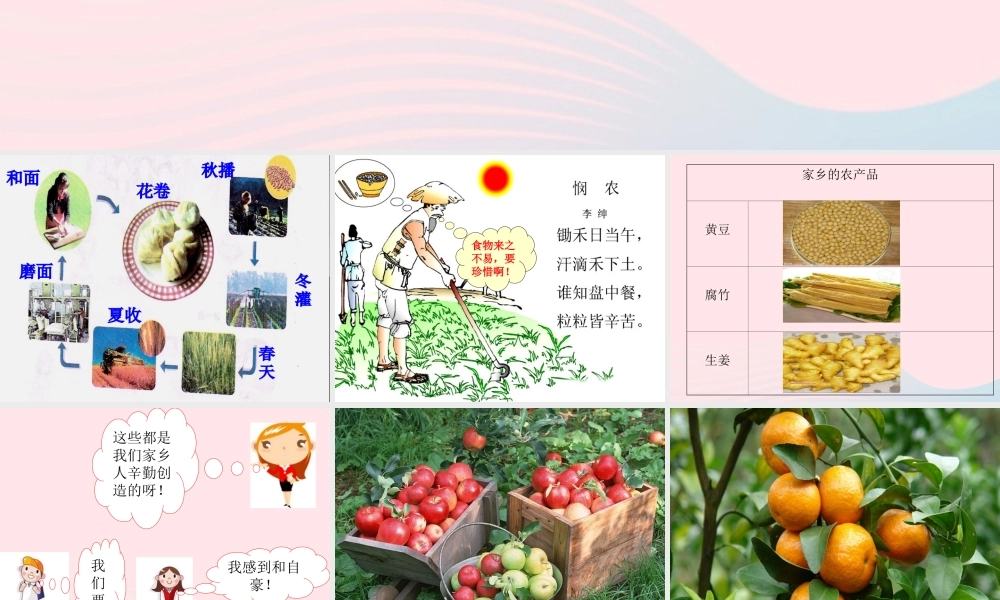 三年级科学上册 第一单元 生活中的食物 第3课《食物从哪里来》课件（3） 鄂教版-鄂教版小学三年级上册自然科学课件