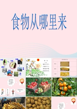 三年级科学上册 第一单元 生活中的食物 第3课《食物从哪里来》课件（3） 鄂教版-鄂教版小学三年级上册自然科学课件