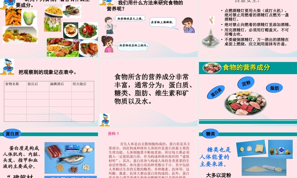 三年级科学上册 第一单元 生活中的食物 第4课《食物的营养》课件（1） 鄂教版-鄂教版小学三年级上册自然科学课件
