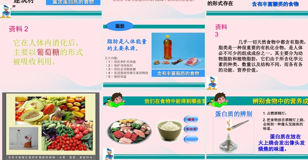 三年级科学上册 第一单元 生活中的食物 第4课《食物的营养》课件（1） 鄂教版-鄂教版小学三年级上册自然科学课件