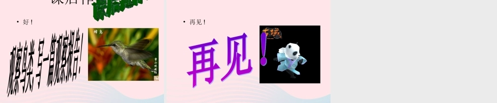 三年级科学上册 第四单元 家养小动物 第20课《鸭与鸡》课件（2） 鄂教版-鄂教版小学三年级上册自然科学课件