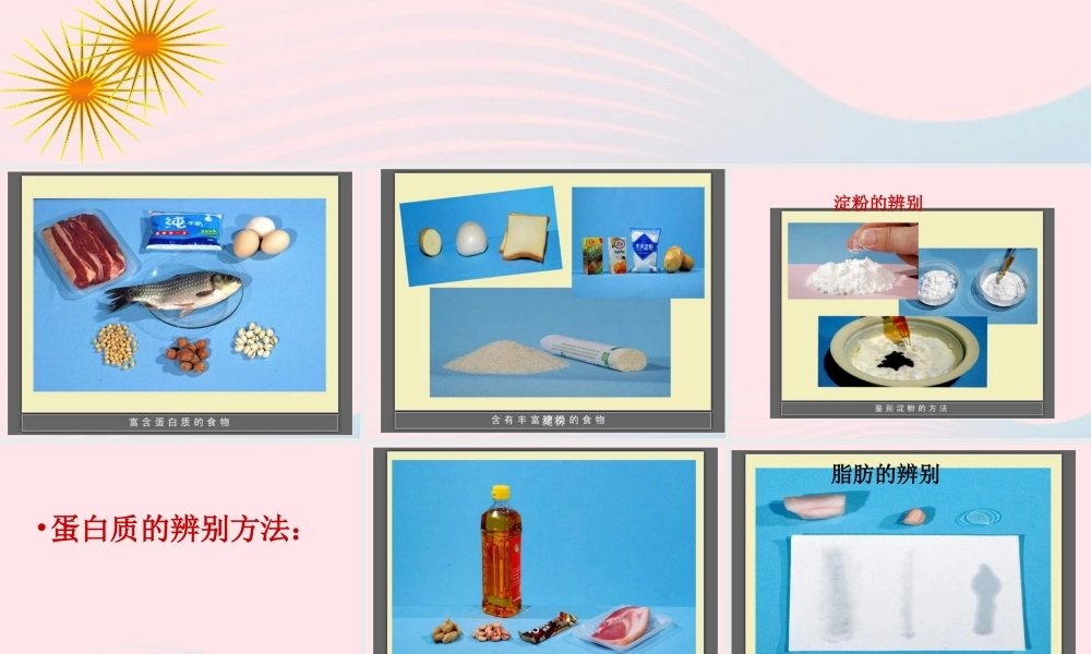 三年级科学上册 第一单元 生活中的食物 第4课《食物的营养》课件（2） 鄂教版-鄂教版小学三年级上册自然科学课件