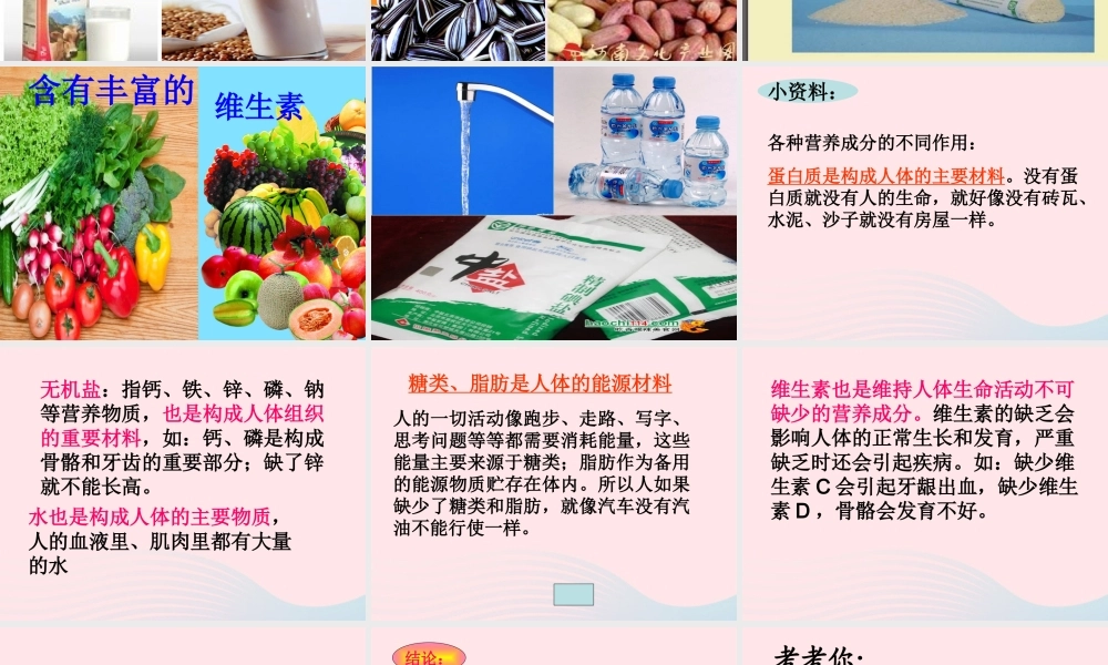 三年级科学上册 第一单元 生活中的食物 第4课《食物的营养》课件（3） 鄂教版-鄂教版小学三年级上册自然科学课件