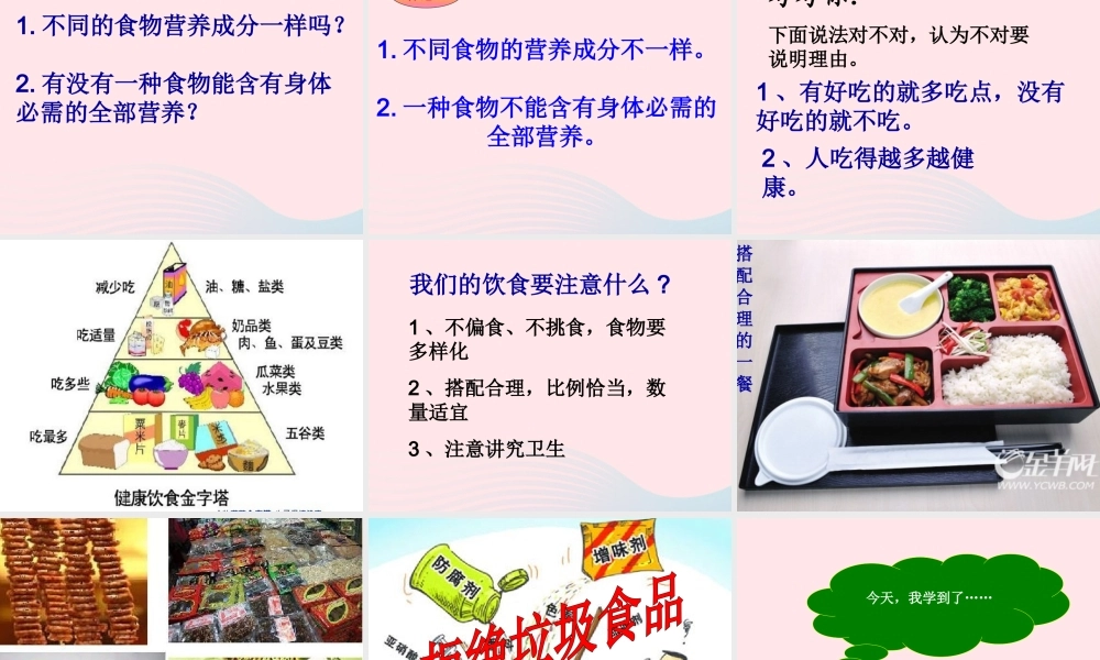 三年级科学上册 第一单元 生活中的食物 第4课《食物的营养》课件（3） 鄂教版-鄂教版小学三年级上册自然科学课件