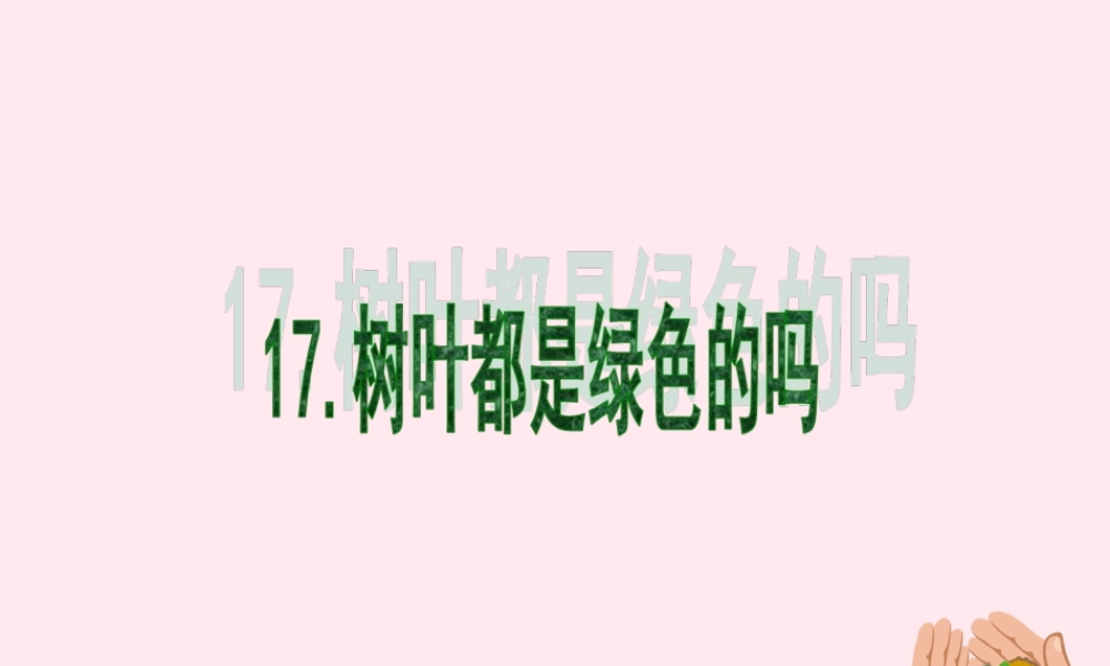 一年级语文下册 课文5 第20课《树叶都是绿色的吗》课件1 湘教版-湘教版小学一年级下册语文课件