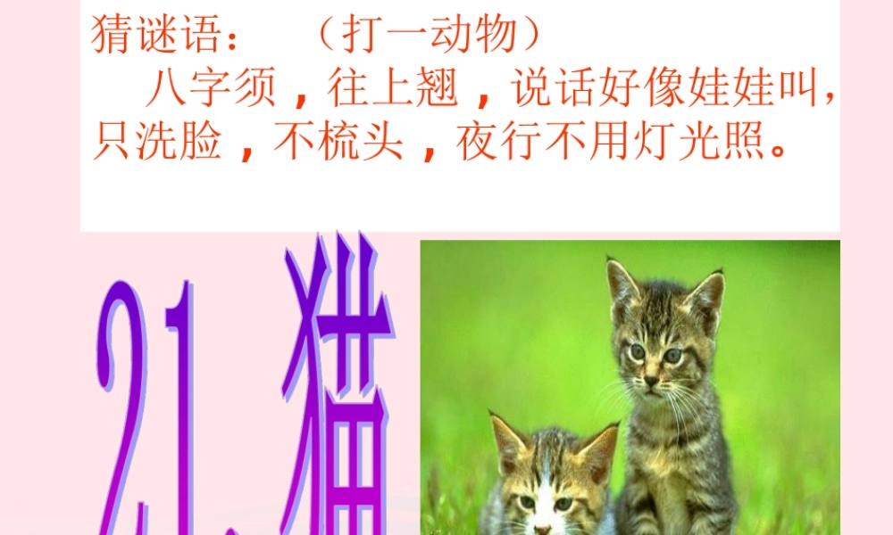 三年级科学上册 第四单元 家养小动物 第21课《猫》课件（2） 鄂教版-鄂教版小学三年级上册自然科学课件
