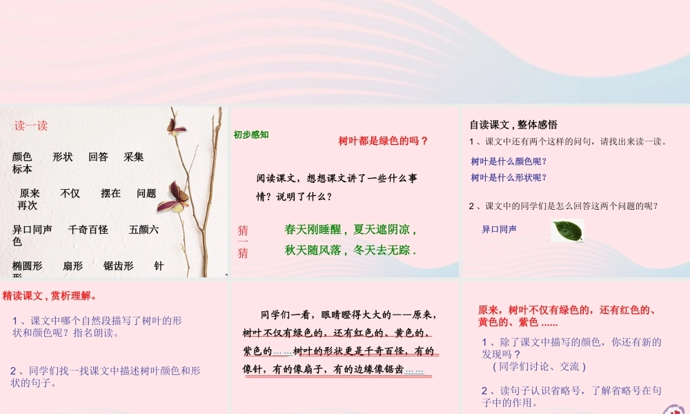 一年级语文下册 课文5 第20课《树叶都是绿色的吗》课件2 湘教版-湘教版小学一年级下册语文课件