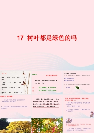 一年级语文下册 课文5 第20课《树叶都是绿色的吗》课件2 湘教版-湘教版小学一年级下册语文课件