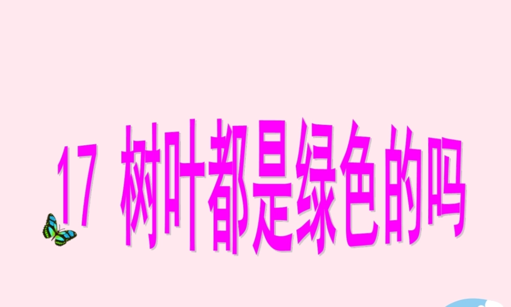 一年级语文下册 课文5 第20课《树叶都是绿色的吗》课件3 湘教版-湘教版小学一年级下册语文课件