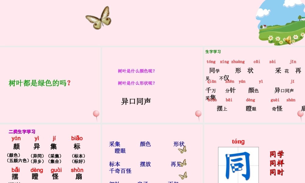 一年级语文下册 课文5 第20课《树叶都是绿色的吗》课件3 湘教版-湘教版小学一年级下册语文课件