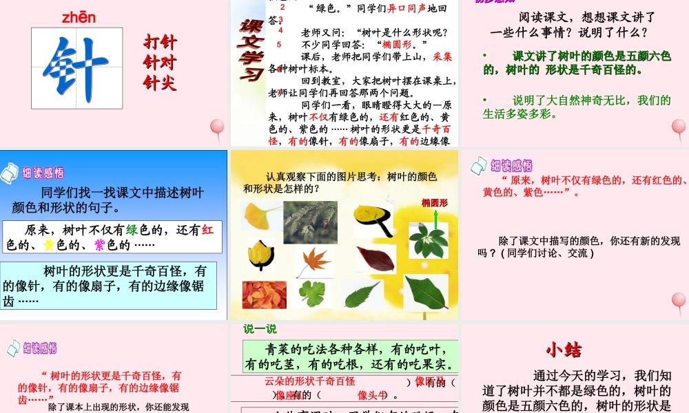 一年级语文下册 课文5 第20课《树叶都是绿色的吗》课件3 湘教版-湘教版小学一年级下册语文课件