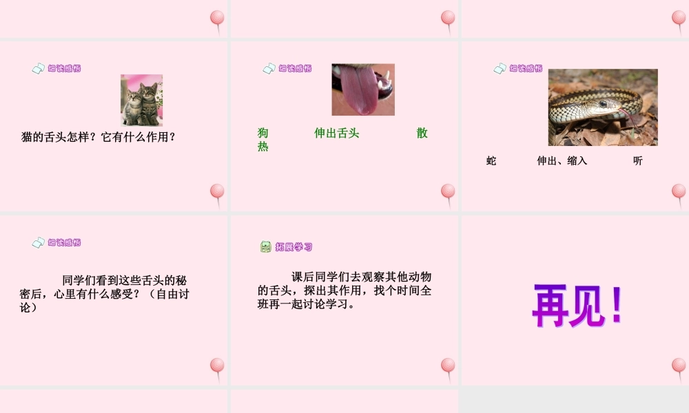 一年级语文下册 课文5 第21课《舌头的秘密》课件1 湘教版-湘教版小学一年级下册语文课件