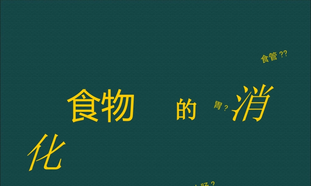 三年级科学上册 第一单元 生活中的食物 第6课《食物的消化》课件（1） 鄂教版-鄂教版小学三年级上册自然科学课件