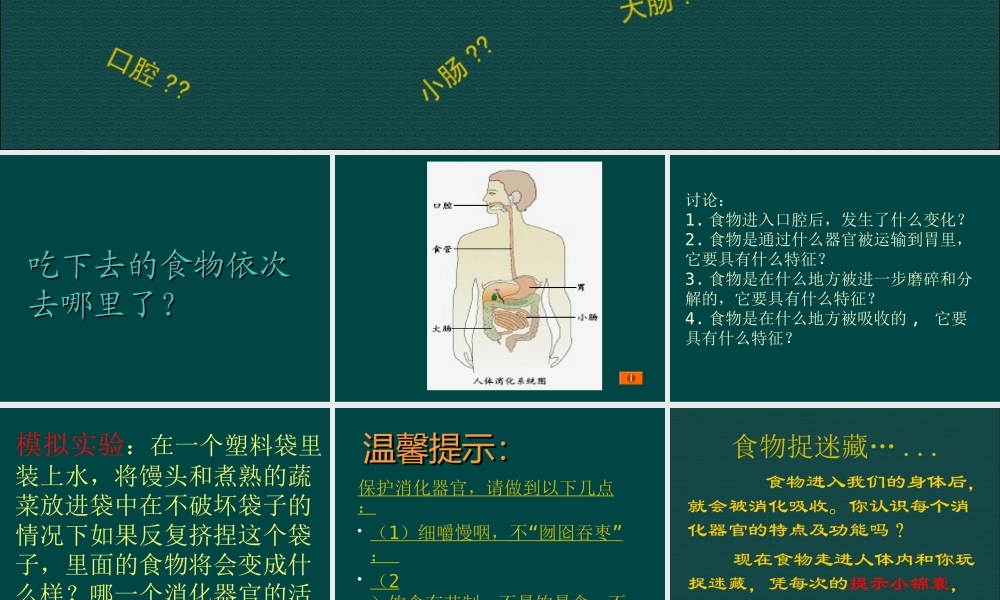 三年级科学上册 第一单元 生活中的食物 第6课《食物的消化》课件（1） 鄂教版-鄂教版小学三年级上册自然科学课件
