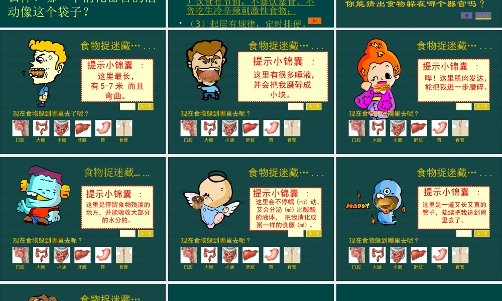 三年级科学上册 第一单元 生活中的食物 第6课《食物的消化》课件（1） 鄂教版-鄂教版小学三年级上册自然科学课件