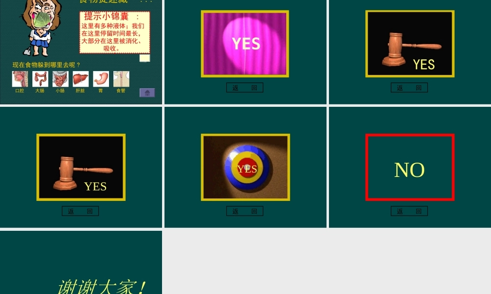 三年级科学上册 第一单元 生活中的食物 第6课《食物的消化》课件（1） 鄂教版-鄂教版小学三年级上册自然科学课件