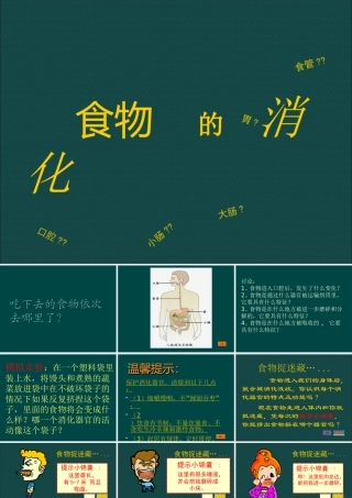 三年级科学上册 第一单元 生活中的食物 第6课《食物的消化》课件（1） 鄂教版-鄂教版小学三年级上册自然科学课件