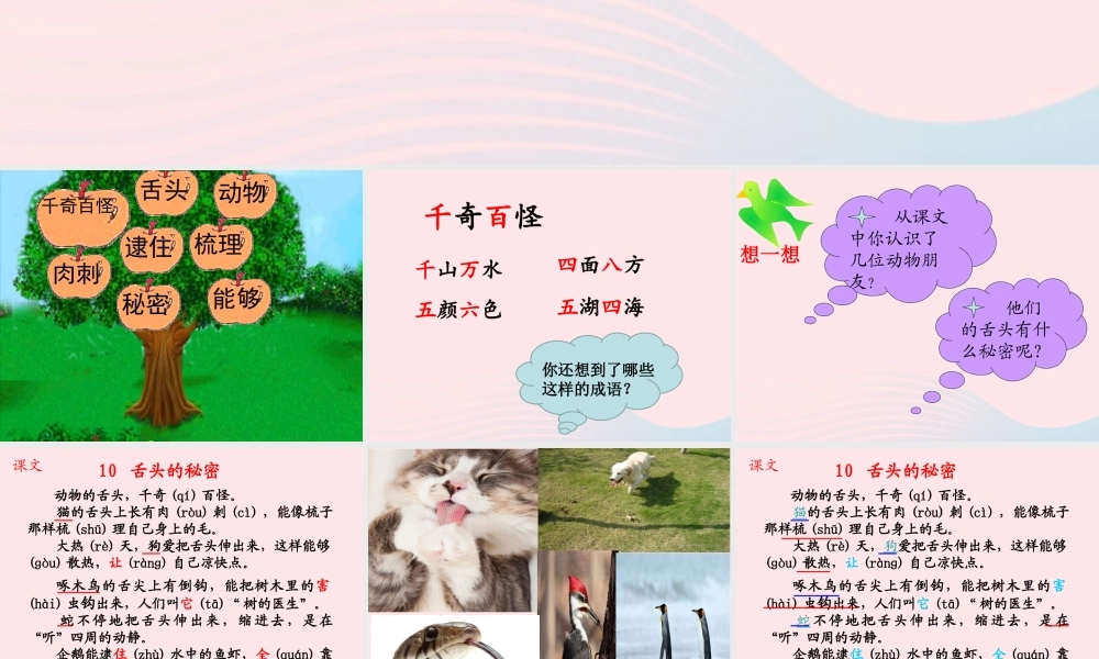 一年级语文下册 课文5 第21课《舌头的秘密》课件2 湘教版-湘教版小学一年级下册语文课件