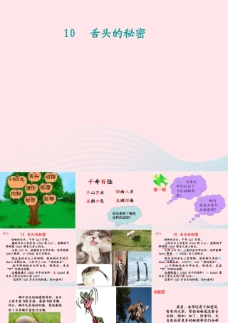 一年级语文下册 课文5 第21课《舌头的秘密》课件2 湘教版-湘教版小学一年级下册语文课件